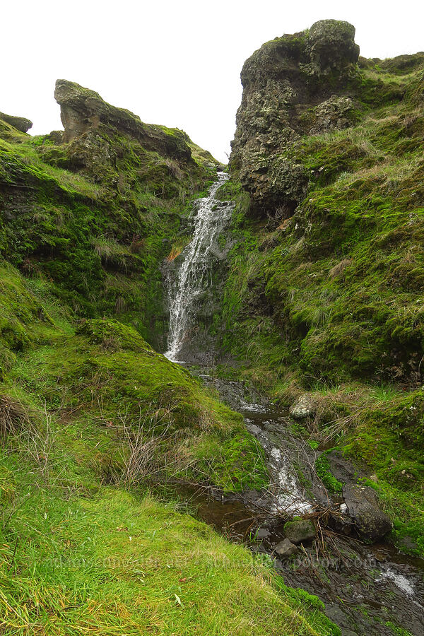 small waterfall [The Labyrinth, Klickitat County, Washington]