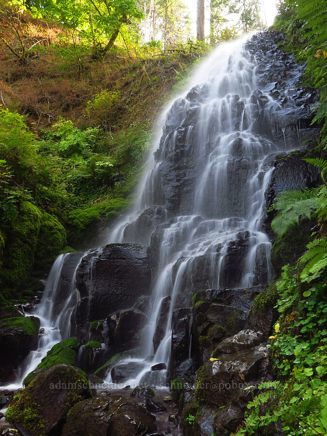 Fairy Falls [Wahkeena Trail, Mt. Hood National Forest, Multnomah County, Oregon]