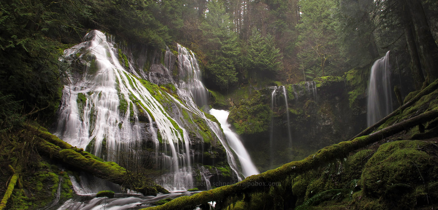 Panther Creek Falls panorama [Forest Road 65, Gifford Pinchot National Forest, Skamania County, Washington]