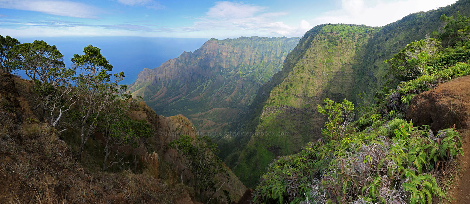 Kalepa Ridge panorama [Kalepa Ridge Trail, Na Pali Coast State Park, Kaua'i, Hawaii]