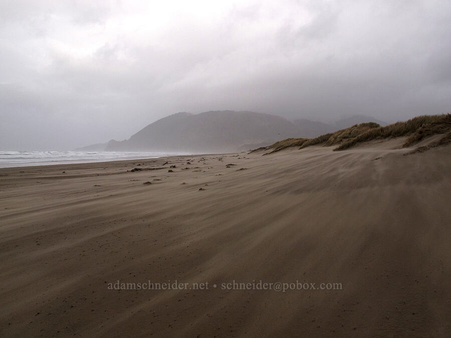 windblown sand in a winter storm [Nehalem Bay State Park, Manzanita, Tillamook County, Oregon]