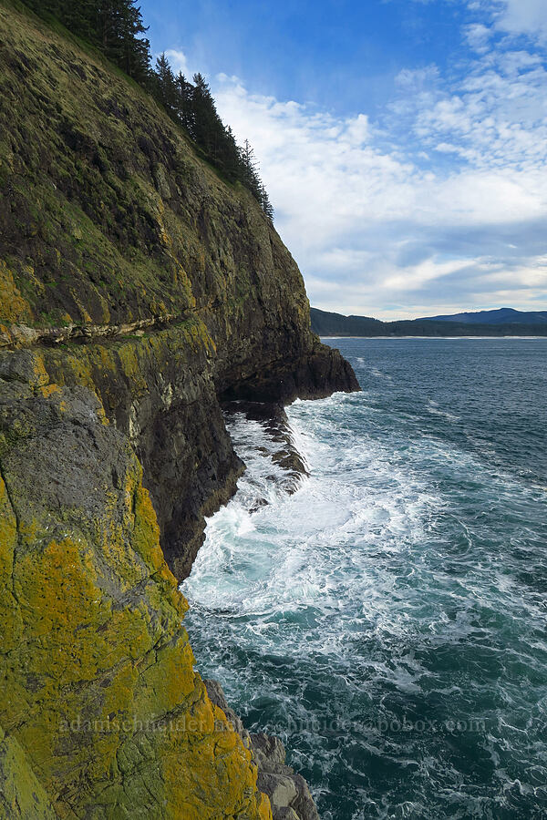 south side of Cape Lookout [Cape Lookout, Cape Lookout State Park, Tillamook County, Oregon]