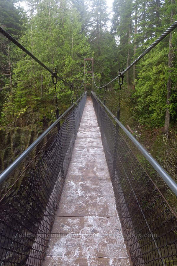 slushy suspension bridge [Drift Creek Falls Trail, Siuslaw National Forest, Lincoln County, Oregon]