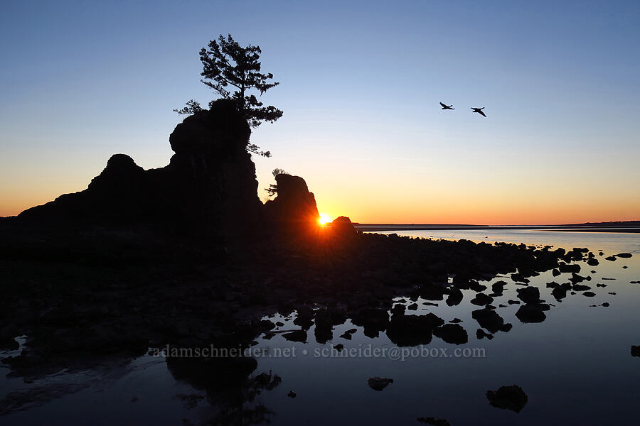 Three Brothers at sunset [Siletz Bay, Lincoln City, Lincoln County, Oregon]