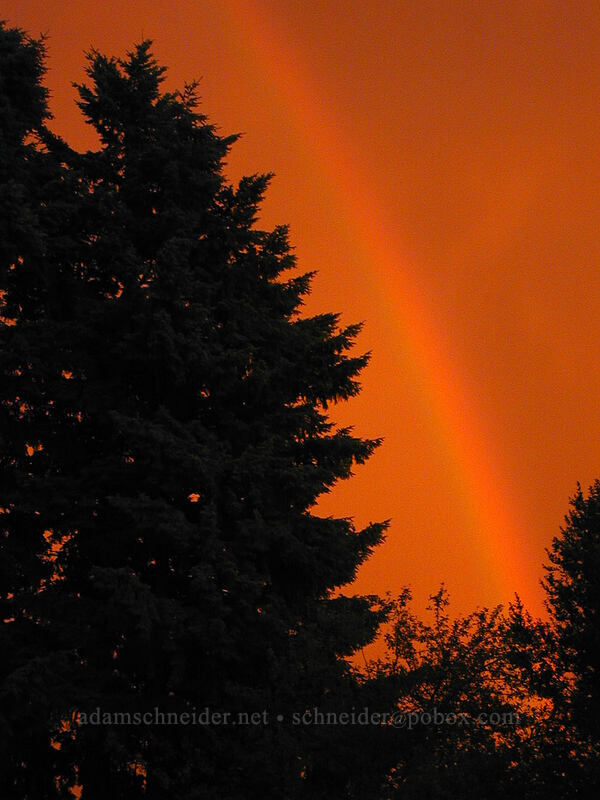 rainbow during thunderstorms [Knapp Street, Portland, Multnomah County, Oregon]