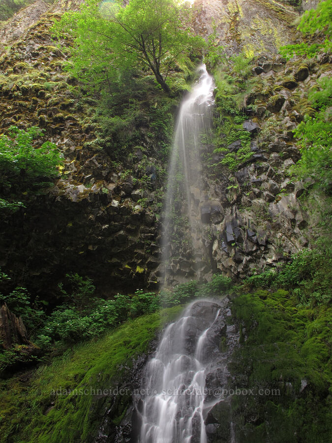 Cabin Creek Falls [Mt. Defiance Trail, Columbia River Gorge, Hood River County, Oregon]