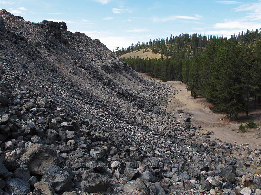 edge of an obsidian flow [Big Obsidian Flow, Newberry National Volcanic Monument, Deschutes County, Oregon]