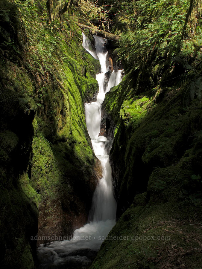 Duncan Creek Falls (north side) [Nellie Corser Wildlife Area, Skamania County, Washington]