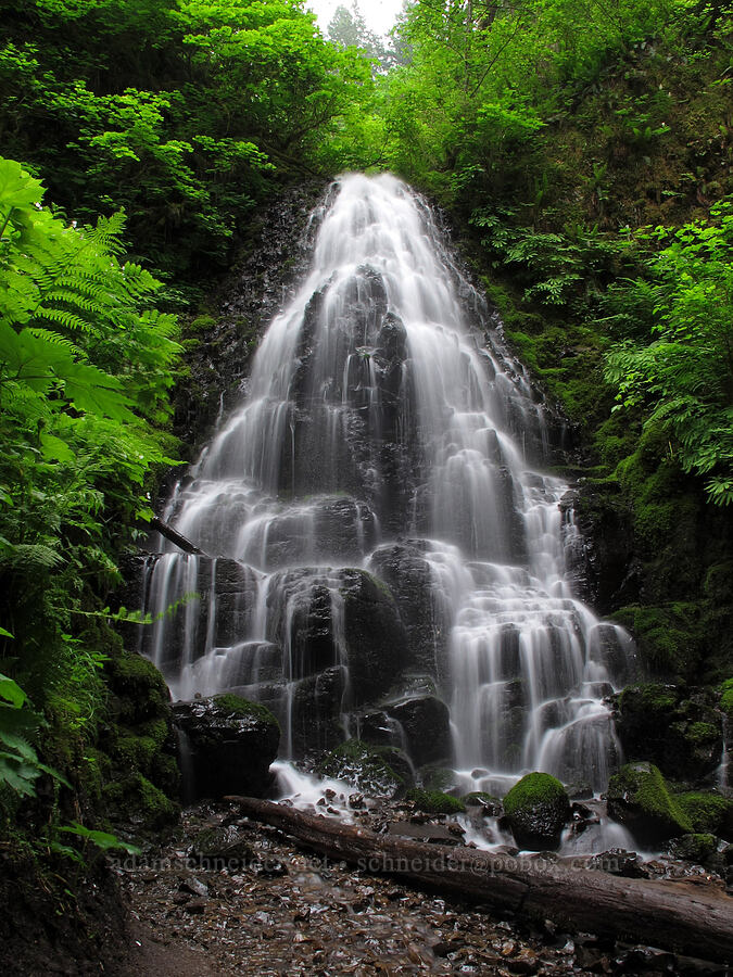 Fairy Falls [Wahkeena Trail, Columbia River Gorge, Multnomah County, Oregon]