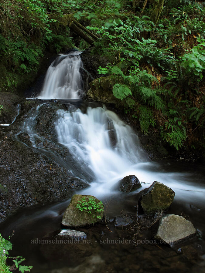 Young Creek [Shepperd's Dell State Park, Columbia River Gorge, Multnomah County, Oregon]