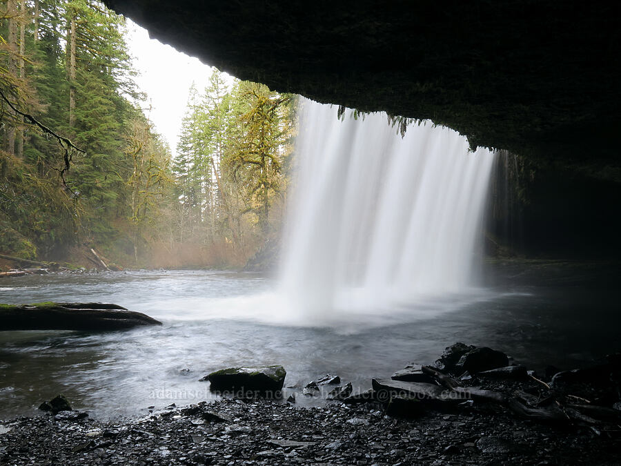 Upper Butte Creek Falls [Butte Creek Falls Trail, Santiam State Forest, Clackamas County, Oregon]