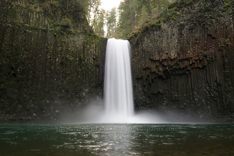 Abiqua Falls [Abiqua Falls, Marion County, Oregon]