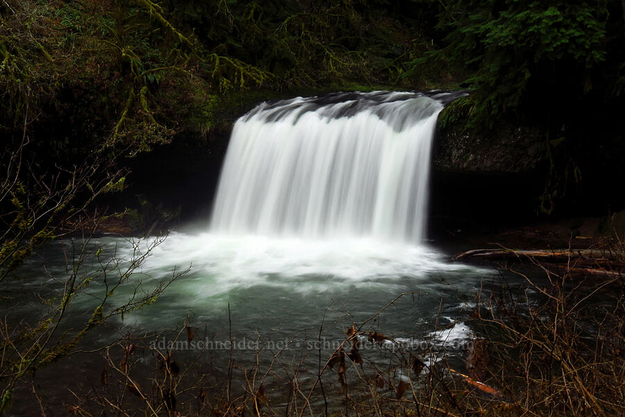 Upper Butte Creek Falls [Butte Creek Falls Trail, Santiam State Forest, Marion County, Oregon]