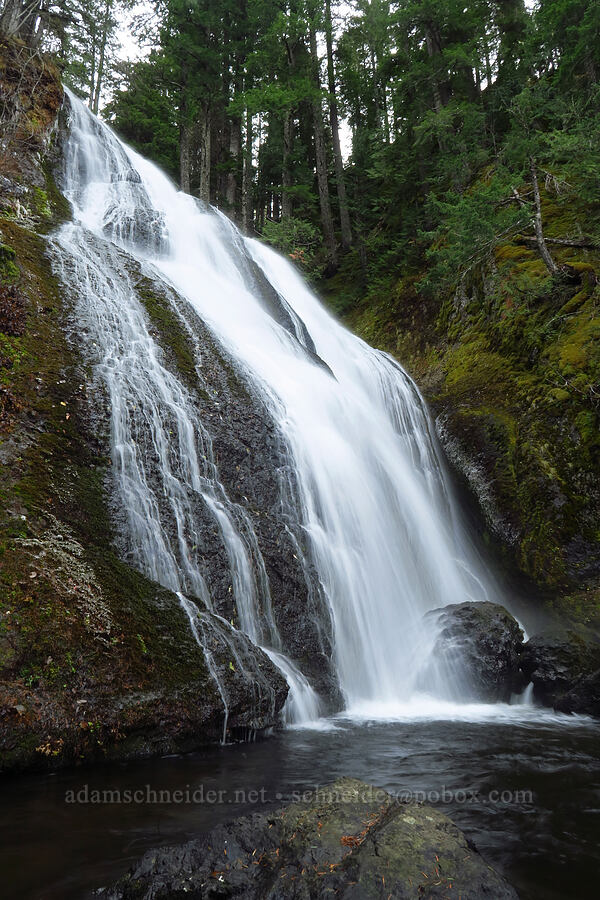 Falls Creek Falls (upper tier) [Falls Creek Falls Trail, Gifford Pinchot National Forest, Skamania County, Washington]