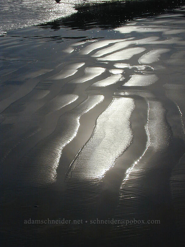 sand ripples [Venice Beach, Los Angeles, California]