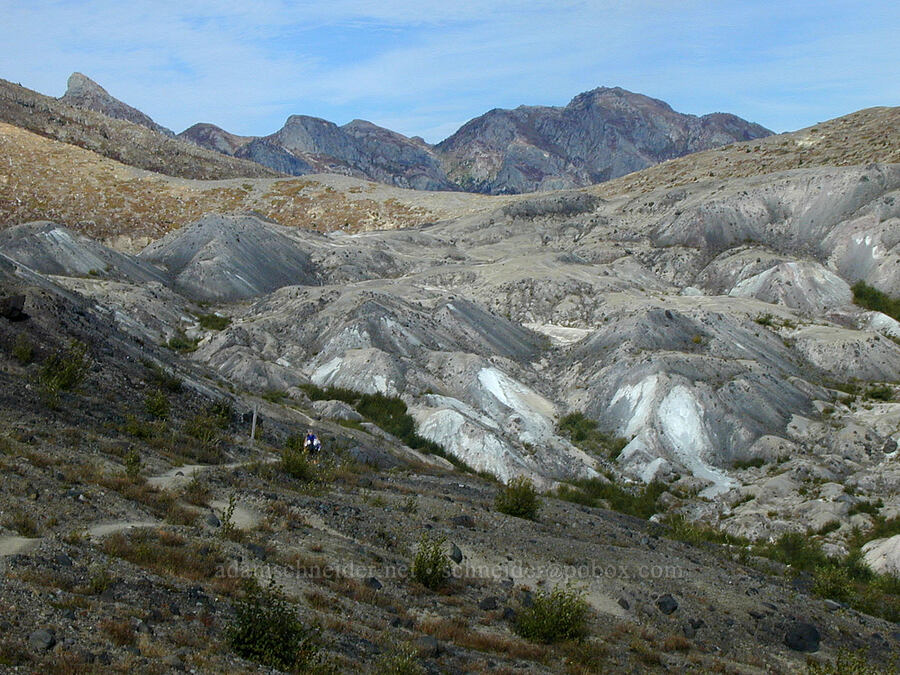 hummocks [Boundary Trail, Mt. St. Helens N.V.M., Washington]