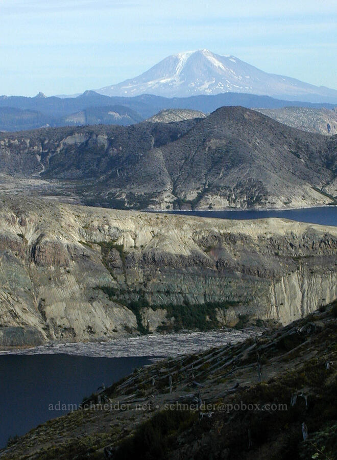 Mt. Adams & Spirit Lake [Boundary Trail, Mt. St. Helens N.V.M., Washington]