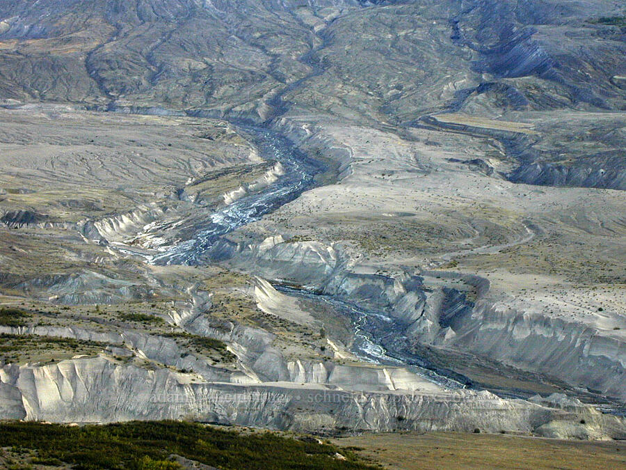 Toutle River & the pumice plain [Boundary Trail, Mt. St. Helens N.V.M., Washington]