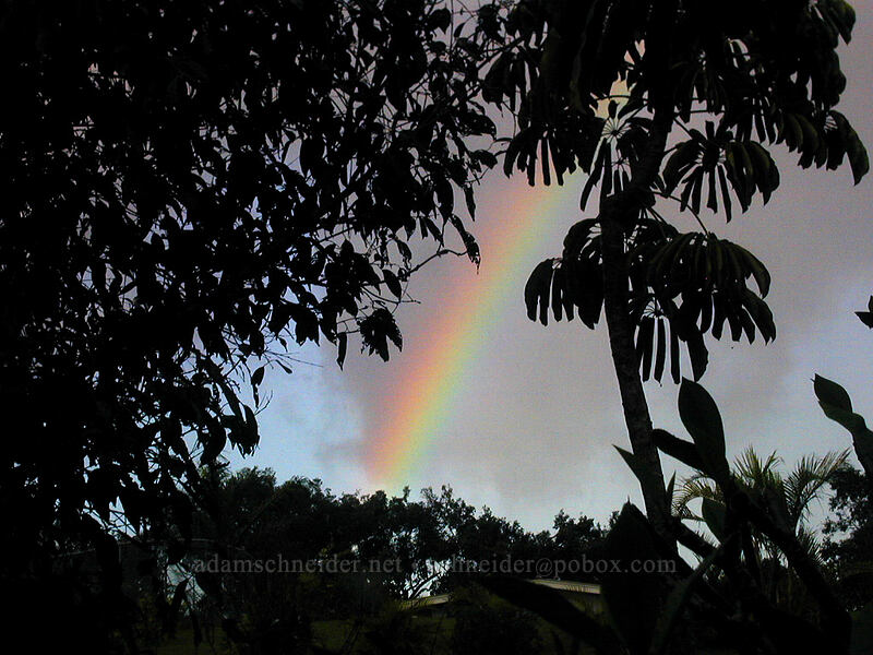 rainbow shortly after sunrise [Classic Vacation Cottages, Kalaheo, Kaua'i, Hawaii]