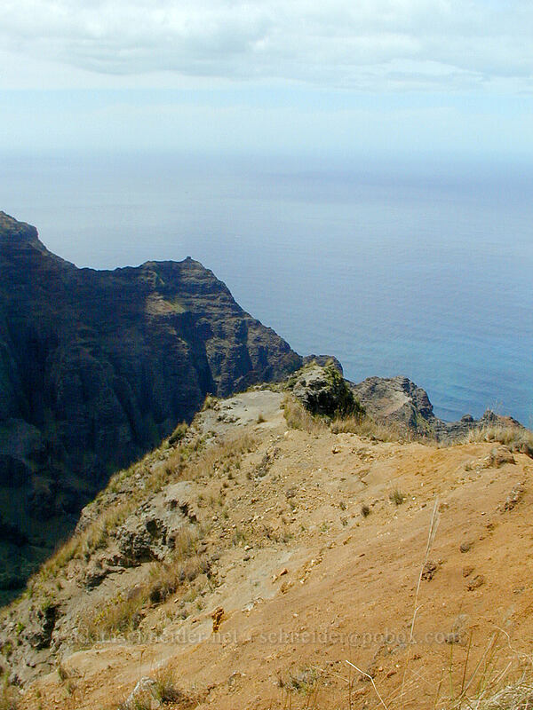ridge between Nu'alolo and Awa'awapuhi Valleys [Awa'awaphui Trail, Koke'e State Park, Kaua'i, Hawaii]