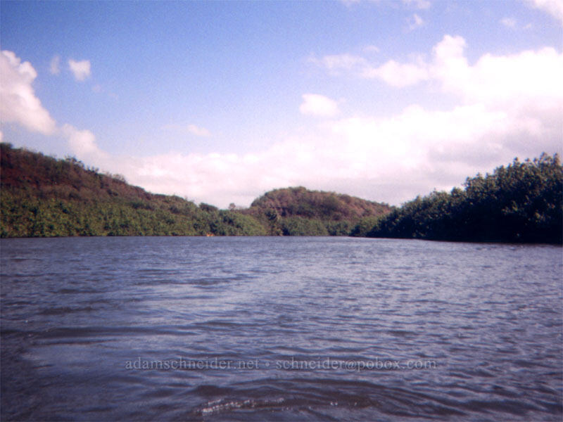 Wailua River [Wailua River State Park, Wailua, Kaua'i, Hawaii]