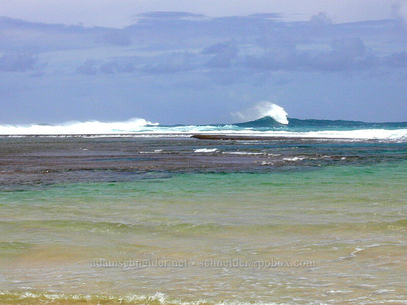 surf breaking on the reef off Tunnels Beach [Tunnels Beach, Ha'ena, Kaua'i, Hawaii]