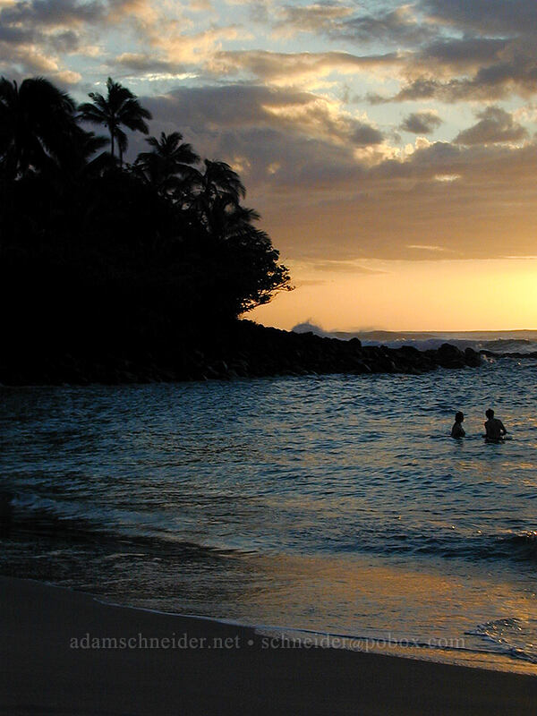 sunset with palm trees, beach, and swimmers [Ke'e Beach, Ha'ena State Park, Kaua'i, Hawaii]