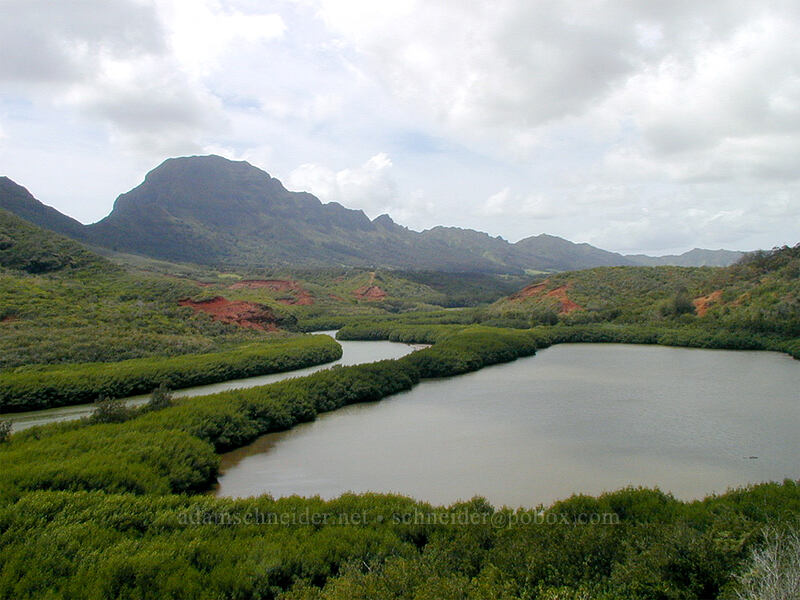 Alakoko (Menehune) fish pond [Hulemalu Road, Niumalu, Kaua'i, Hawaii]