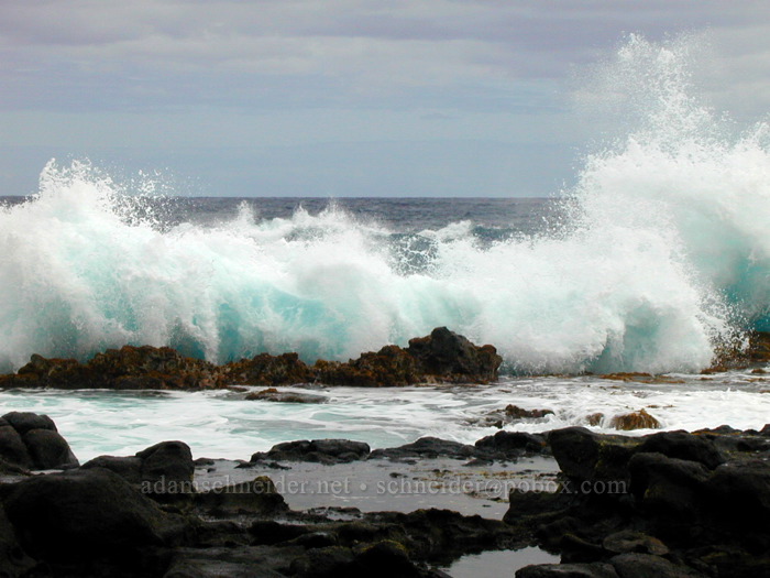 waves crashing on the ledge [Mokolea Point, Kilauea, Kaua'i, Hawaii]