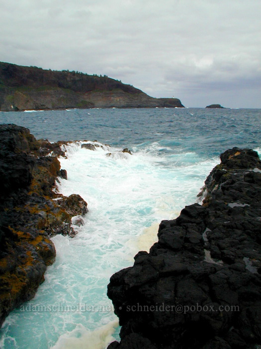 wave-cut inlet, Kilauea Point in background [Mokolea Point, Kilauea, Kaua'i, Hawaii]