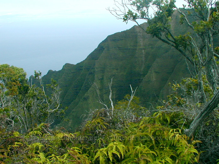 Honopu Valley [Honopu Trail, Na Pali Coast, Kaua'i, Hawaii]