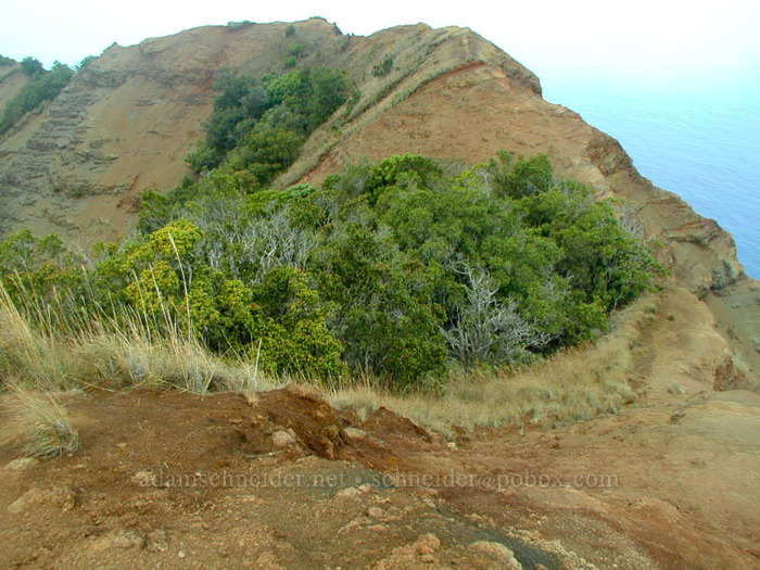 end of Honopu Ridge [Honopu Trail, Na Pali Coast, Kaua'i, Hawaii]