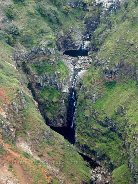 waterfall below the Ditch Trail [Po'omau Canyon Ditch Trail, Koke'e State Park, Kaua'i, Hawaii]