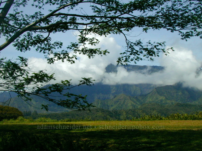 Wai'ale'ale Crater filling with clouds [Kuilau Ridge Trail, Makaleha Mountains, Kaua'i, Hawaii]