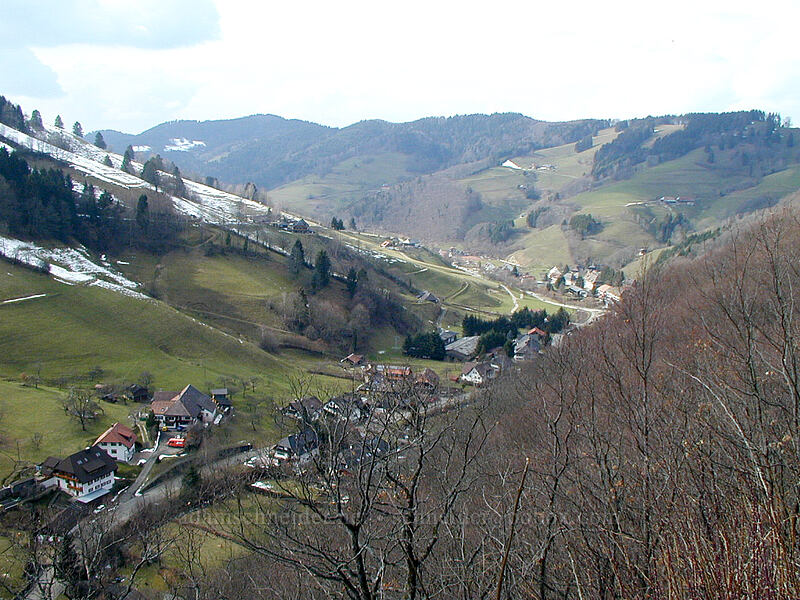 German valley in late winter [Münstertal, Schwarzwald, Baden-Württemberg, Germany]
