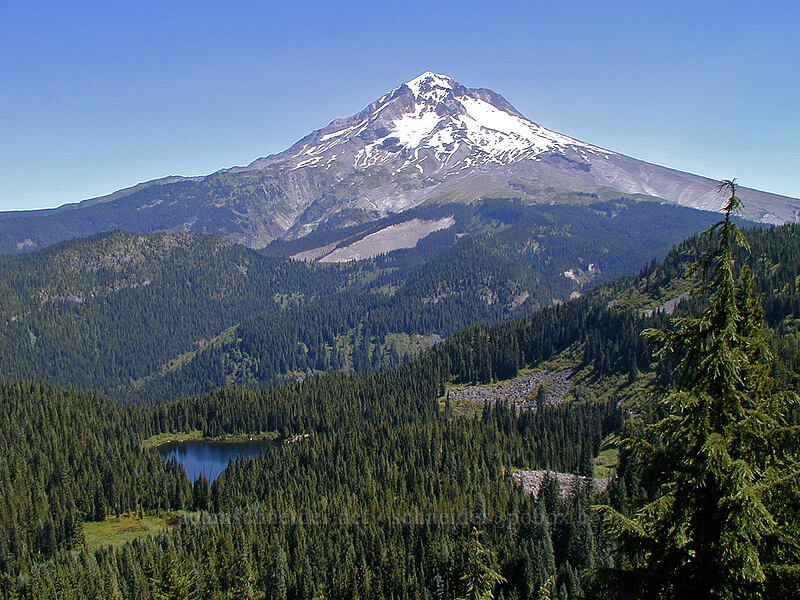 Mount Hood & Burnt Lake [East Zigzag Mountain, Mt. Hood Wilderness, Clackamas County, Oregon]
