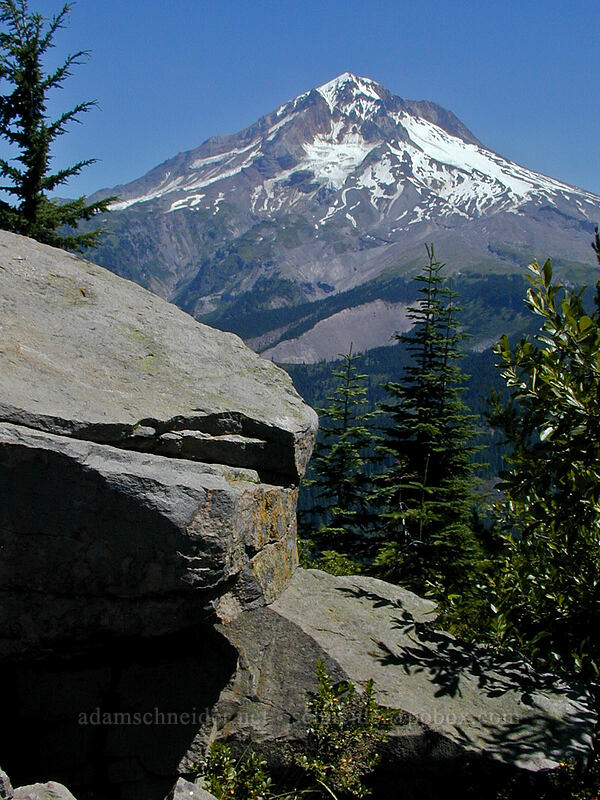 Mount Hood [East Zigzag Mountain, Mt. Hood Wilderness, Clackamas County, Oregon]
