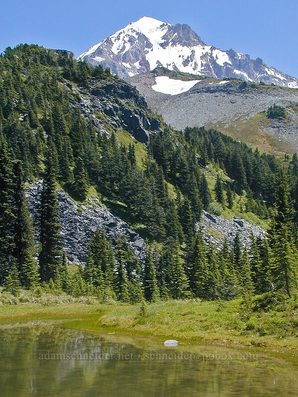 small pond & Mount Hood [Timberline Trail, Mt. Hood Wilderness, Hood River County, Oregon]