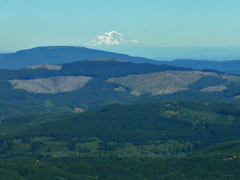 Mt. Rainier [Saddle Mountain summit, Clatsop County, Oregon]