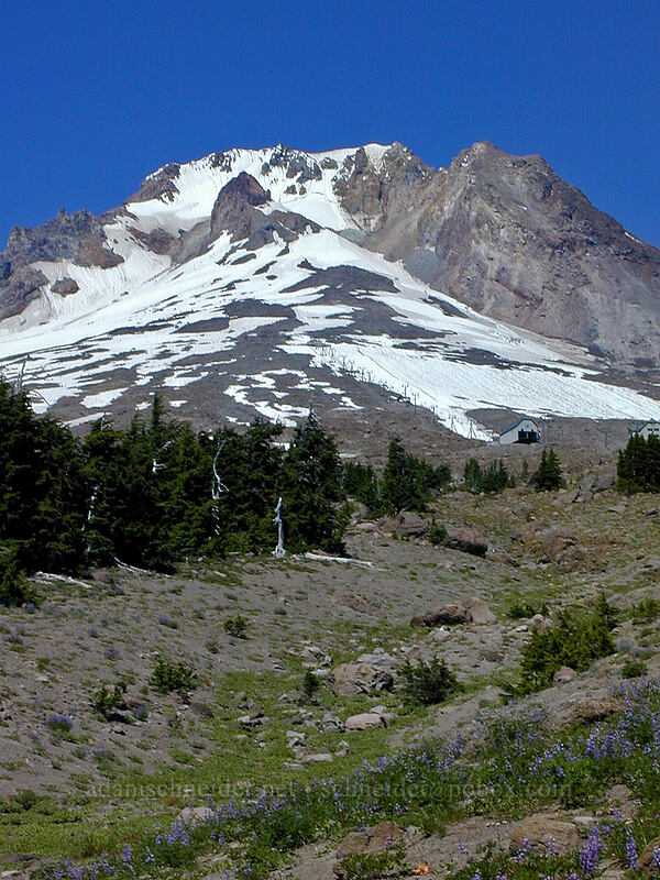 Mount Hood [Timberline Trail, Mt. Hood Wilderness, Clackamas County, Oregon]