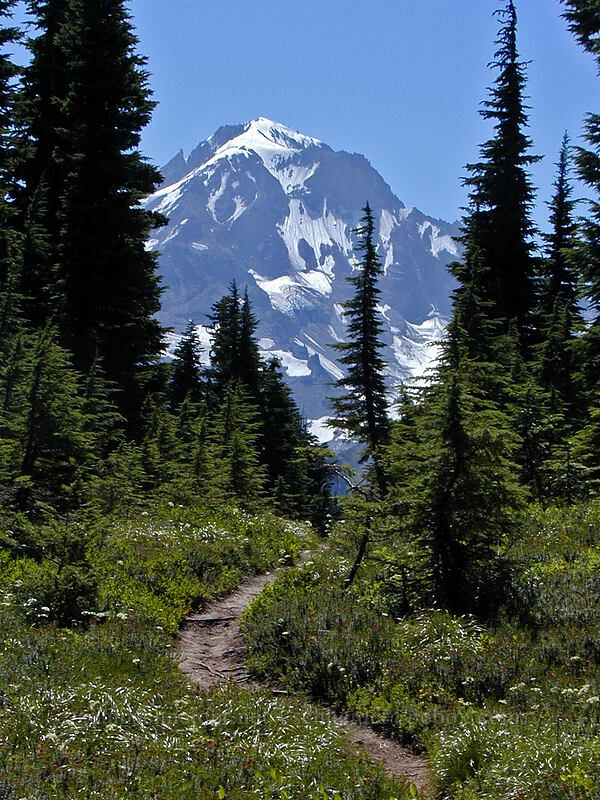 Mount Hood [Cathedral Ridge, Mt. Hood Wilderness, Hood River County, Oregon]