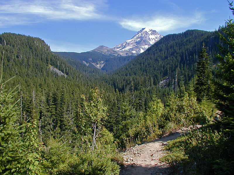 Ladd Creek Valley [Mazama Trailhead, Mt. Hood National Forest, Hood River County, Oregon]