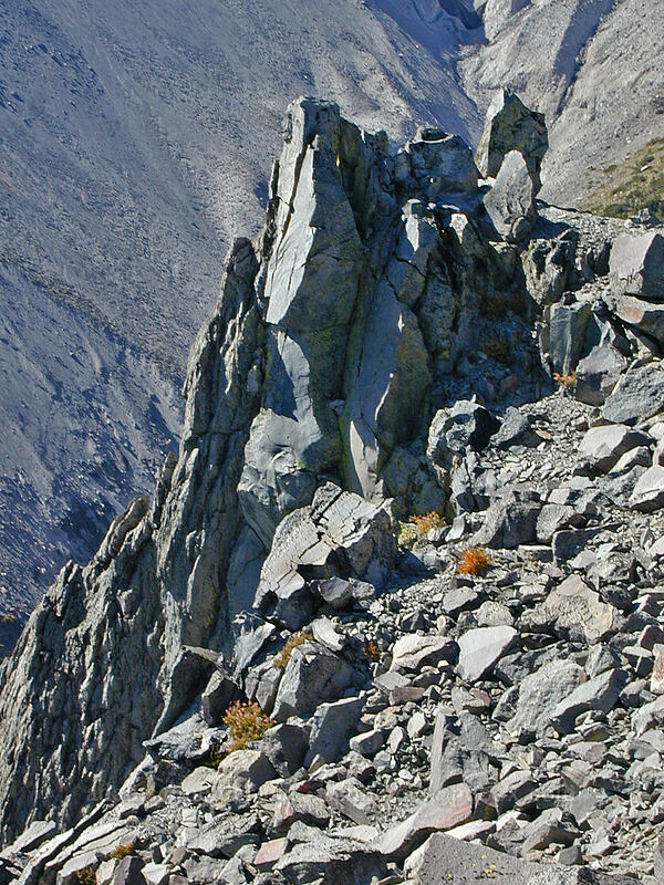 pinnacles of broken rock [Gnarl Ridge, Mt. Hood Wilderness, Hood River County, Oregon]