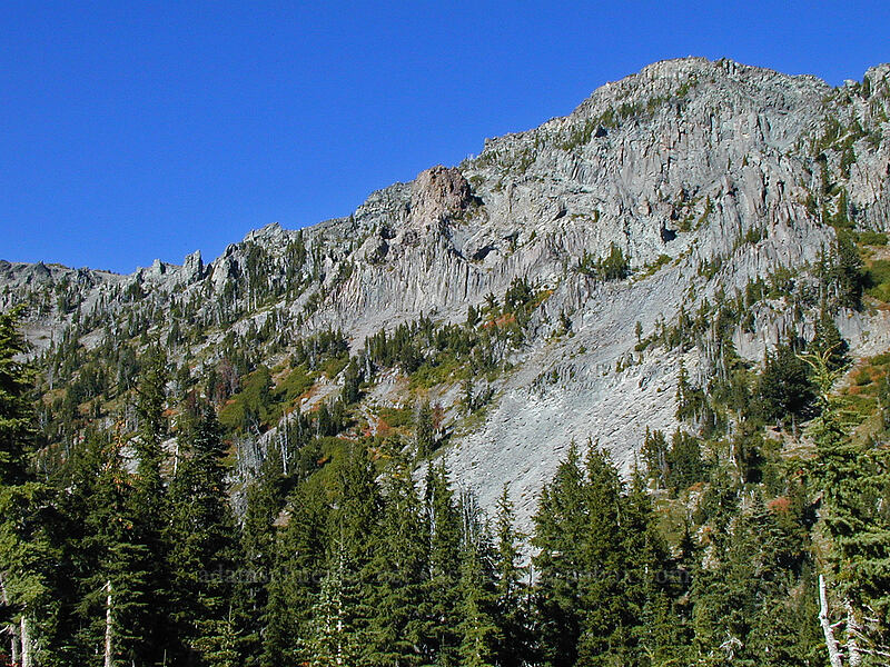 Gnarl Ridge & Lamberson Butte [Timberline Trail, Mt. Hood Wilderness, Hood River County, Oregon]