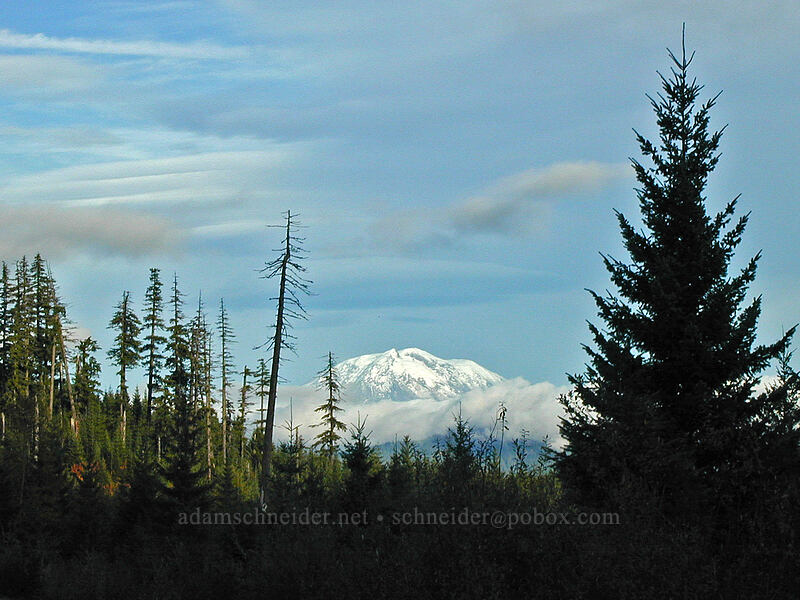 Mount Adams [Lahar Viewpoint, Mt. St. Helens N.V.M., Skamania County, Washington]