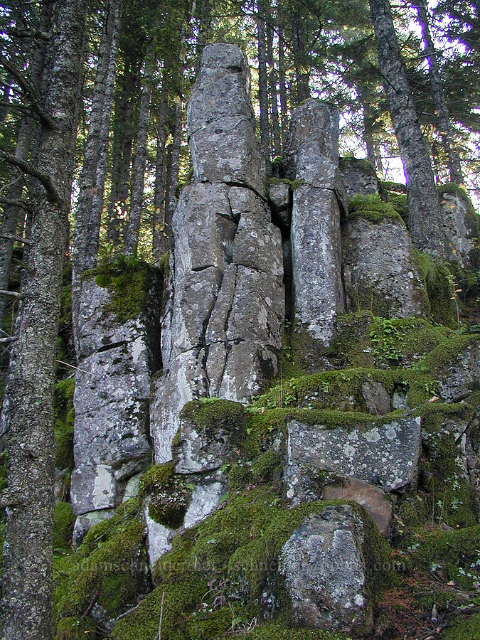 basalt pinnacles [Ruckel Ridge Trail, Columbia River Gorge, Oregon]