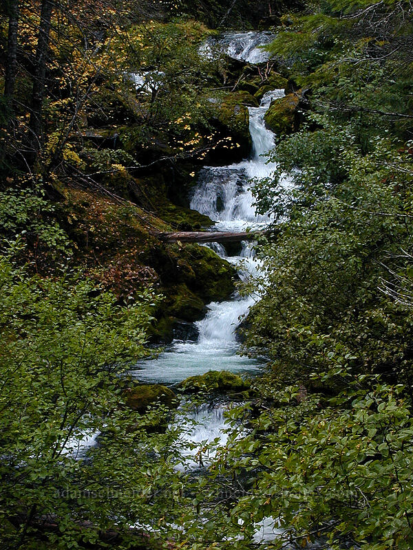 Cold Spring Creek [Tamanawas Falls Trail, Mt. Hood National Forest, Hood River County, Oregon]