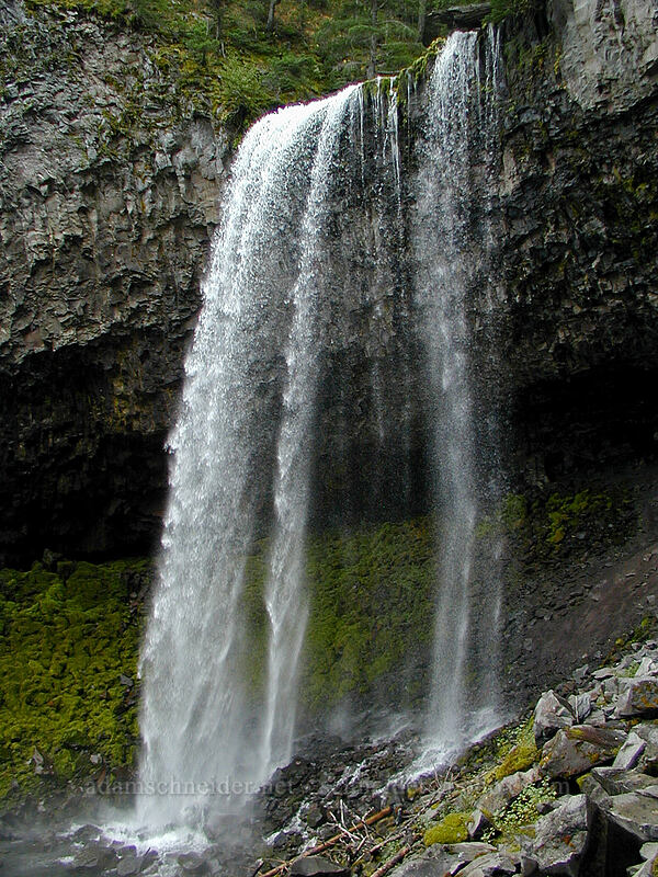 Tamanawas Falls [Tamanawas Falls Trail, Mt. Hood National Forest, Oregon]