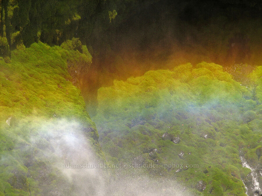 rainbow & mist below Koosah Falls [McKenzie River Trail, Willamette National Forest, Linn County, Oregon]