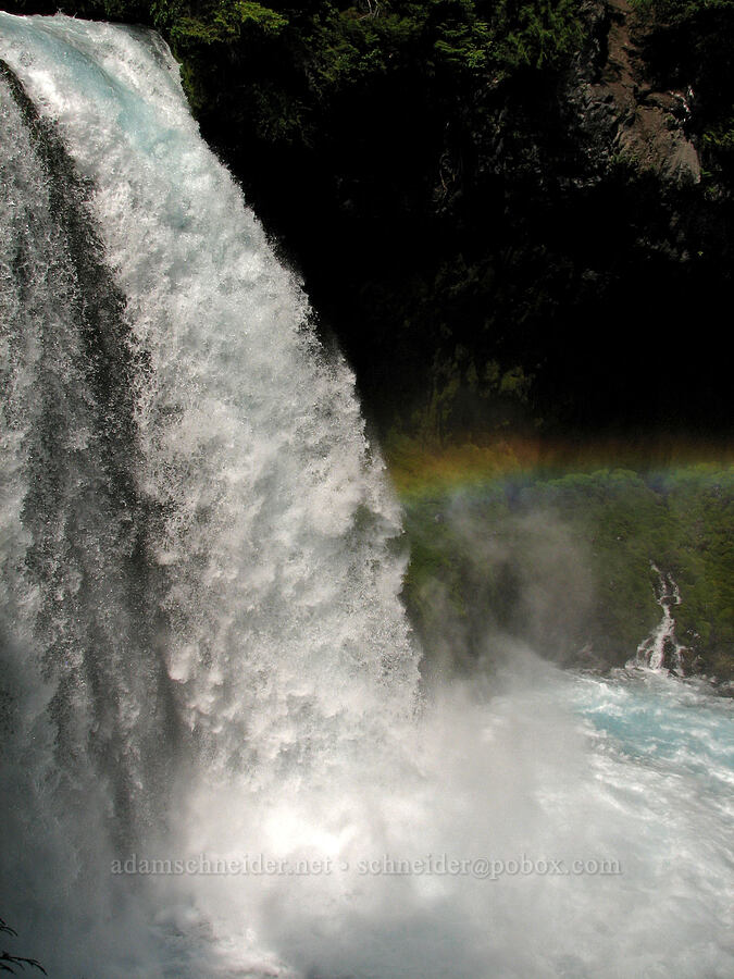 Koosah Falls [McKenzie River Trail, Willamette National Forest, Oregon]